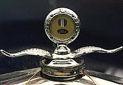 Img 6